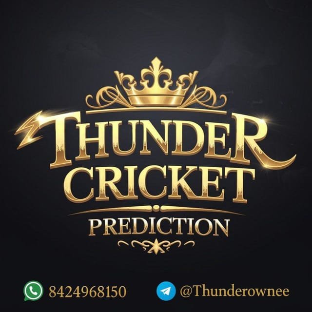 WhatsApp Image 2026-02-15 at 03.13.37